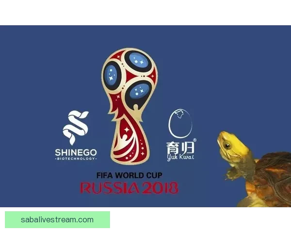 世界杯胜负预测分析全面指南助你精准竞猜投注技巧 世界杯胜负预测分析全面指南助你精准竞猜投注技巧